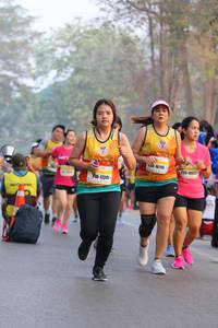 BIB: 16115, 10023, 17241
                            <button type="button" onclick="openModal(10414395)" class="btn btn-primary btn-sm float-right btn-popup" data-toggle="modal" data-target=".modal-high-quality">
                        <i class="fas fa-shopping-cart"></i> Add to Cart
                    </button>
                                            <button type="button" onclick="isThisMe(10414395, true)" class="btn btn-success btn-sm float-right btn-popup btn-isme hidden" data-toggle="tooltip" data-placement="bottom" title="นี่คือรูปของคุณใช่ไหม คลิกที่นี่เพื่อเอาเข้าอัลบั้ม">
                        <i class="fas fa-plus"></i> Add to album
                    </button>
                    <button type="button" onclick="isThisMe(10414395, false)" class="btn btn-warning btn-sm float-right btn-popup btn-isnotme hidden">
                        <i class="fas fa-ban"></i> Remove from album
                    </button>